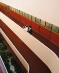 The curved balconies and red walls of the Marin County Civic Center