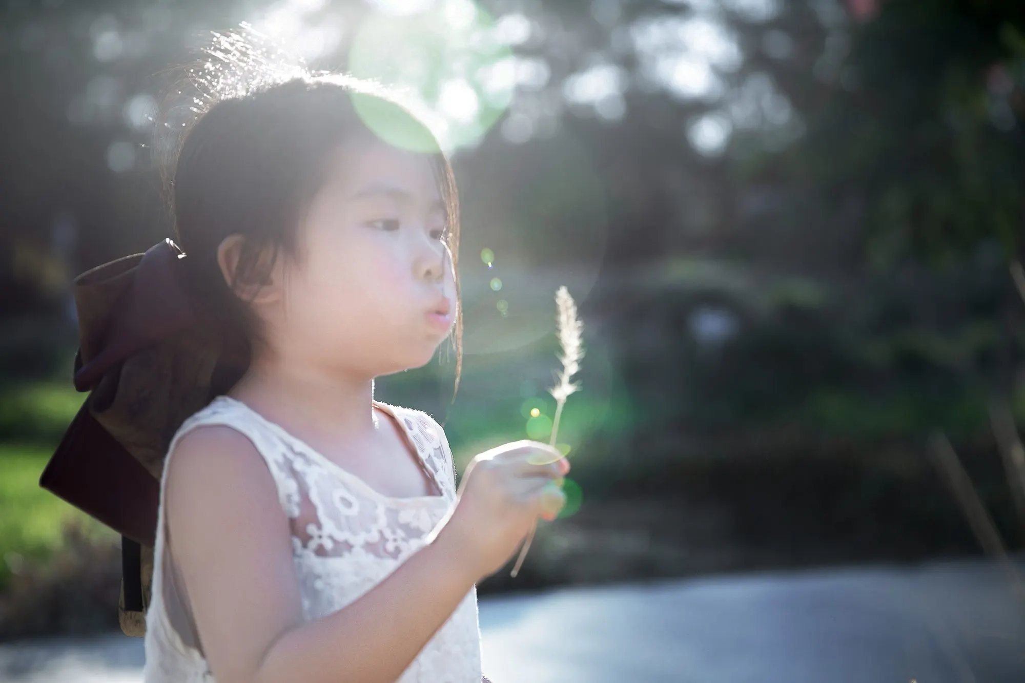 Little girl holding a pink blossom at golden hour, frame 3 of 10